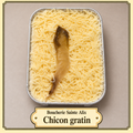 Chicon gratin